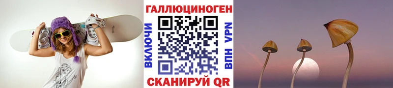 закладки  Усть-Джегута  Галлюциногенные грибы GOLDEN TEACHER 